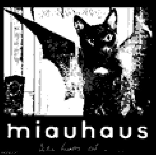 My favorite band (this is a spoof btw) | image tagged in miauhaus | made w/ Imgflip meme maker