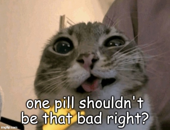 rigby | one pill shouldn't be that bad right? | image tagged in rigby | made w/ Imgflip meme maker