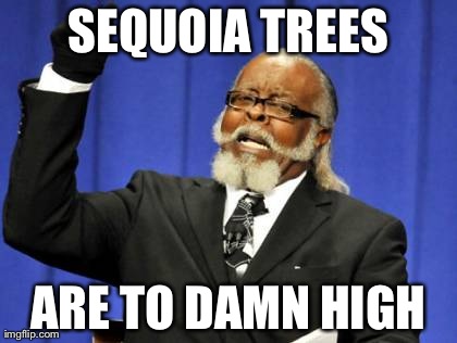 Too Damn High Meme | SEQUOIA TREES ARE TO DAMN HIGH | image tagged in memes,too damn high | made w/ Imgflip meme maker