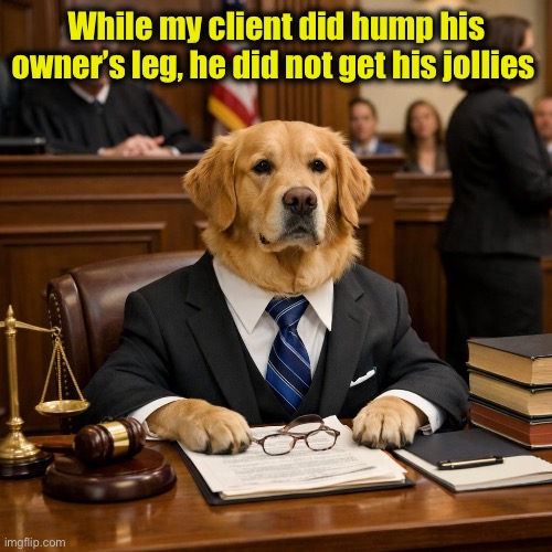 dog in court | While my client did hump his owner’s leg, he did not get his jollies | image tagged in dog in court | made w/ Imgflip meme maker