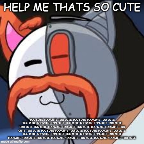 SOOOOO CUTE!!!!!!!!!!!!!!! | HELP ME THATS SO CUTE; TOO CUTE TOO CUTE TOO CUTE TOO CUTE TOO CUTE TOO CUTE TOO CUTE TOO CUTE TOO CUTE TOO CUTE TOO CUTE TOO CUTE TOO CUTE TOO CUTE TOO CUTE TOO CUTE TOO CUTE TOO CUTE TOO CUTE TOO CUTE TOO CUTE TOO CUTE TOO CUTE TOO CUTE TOO CUTE TOO CUTE TOO CUTE TOO CUTE TOO CUTE TOO CUTE TOO CUTE TOO CUTE TOO CUTE TOO CUTE TOO CUTE TOO CUTE TOO CUTE TOO CUTE TOO CUTE TOO CUTE TOO CUTE TOO CUTE TOO CUTE TOO CUTE | image tagged in cute cat | made w/ Imgflip meme maker