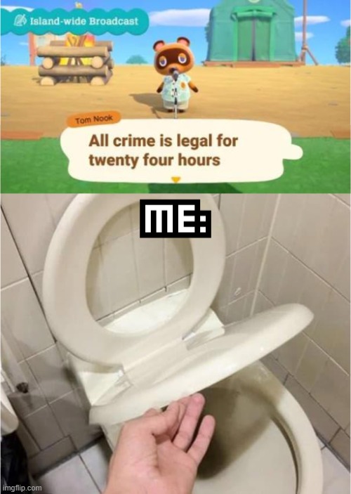 I wonder what happened | image tagged in memes,you had one job,design fails,toilet,animal crossing,acnh | made w/ Imgflip meme maker