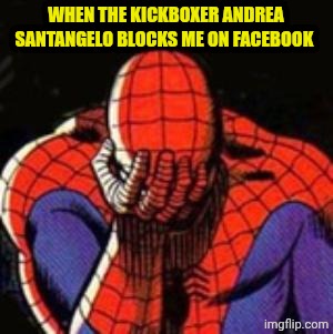 People have no sense of humor nowadays... | WHEN THE KICKBOXER ANDREA SANTANGELO BLOCKS ME ON FACEBOOK | image tagged in memes,sad spiderman,spiderman | made w/ Imgflip meme maker