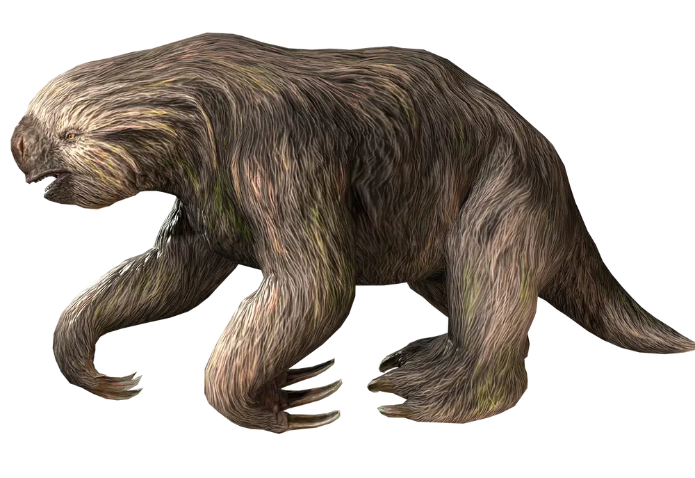 Megalonyx Blank Meme Template