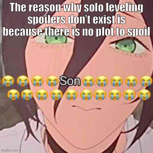 son | The reason why solo leveling spoilers don’t exist is because there is no plot to spoil | image tagged in son | made w/ Imgflip meme maker