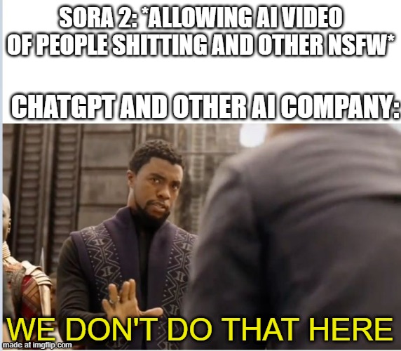 Sora 2 is the only Ai apps that allow NSFW videos | SORA 2: *ALLOWING AI VIDEO OF PEOPLE SHITTING AND OTHER NSFW*; CHATGPT AND OTHER AI COMPANY:; WE DON'T DO THAT HERE | image tagged in we don't do that here,ai meme,chatgpt,memes,nsfw,ai | made w/ Imgflip meme maker