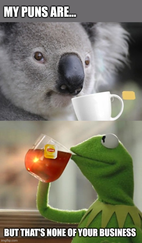 Tea Time | MY PUNS ARE... BUT THAT'S NONE OF YOUR BUSINESS | image tagged in memes,but that's none of my business,koala,tea,puns | made w/ Imgflip meme maker