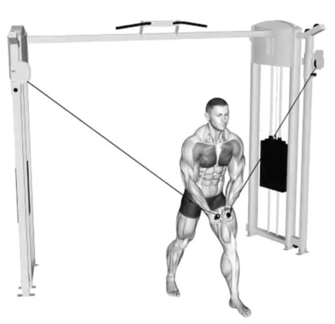 crossover gym Blank Meme Template