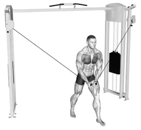 crossover gym Blank Meme Template