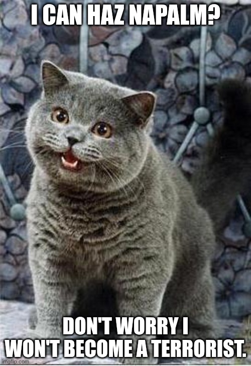 i can haz napalm? | I CAN HAZ NAPALM? DON'T WORRY I WON'T BECOME A TERRORIST. | image tagged in i can has cheezburger cat | made w/ Imgflip meme maker