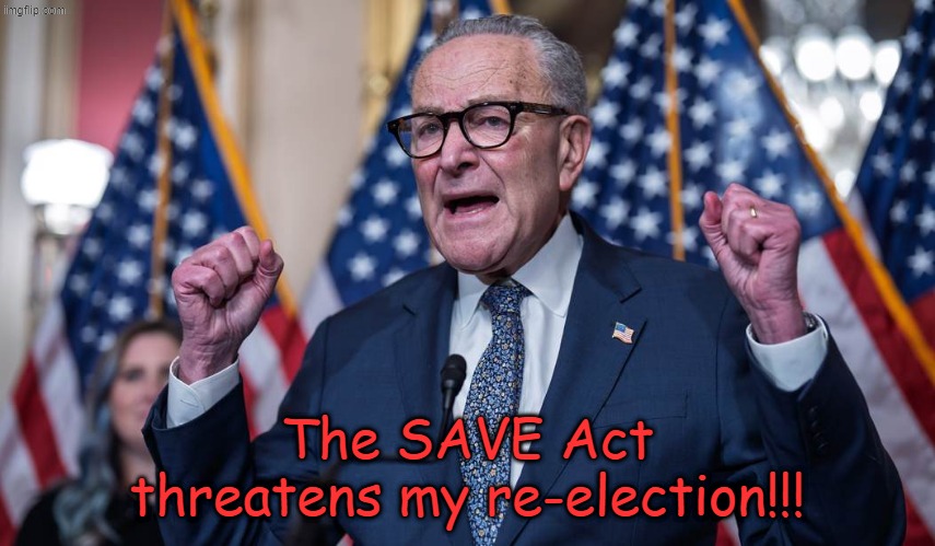 Schumer | The SAVE Act threatens my re-election!!! | image tagged in schumer | made w/ Imgflip meme maker