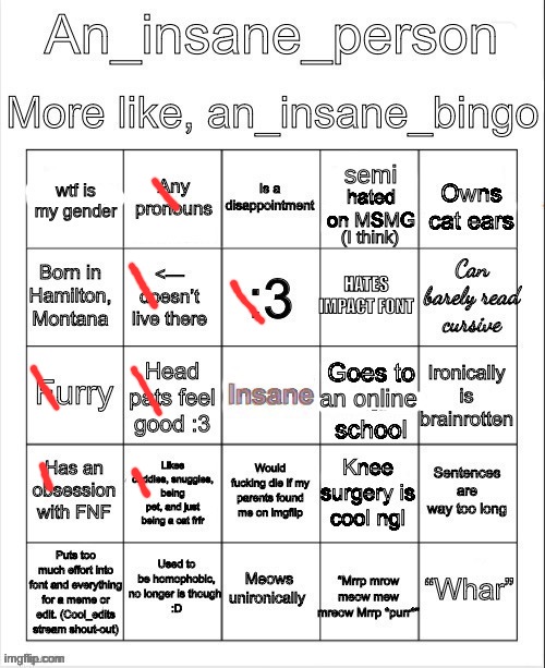 it's just my version | image tagged in an insane bingo april 2025 | made w/ Imgflip meme maker