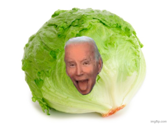 Lettuce  | image tagged in lettuce | made w/ Imgflip meme maker