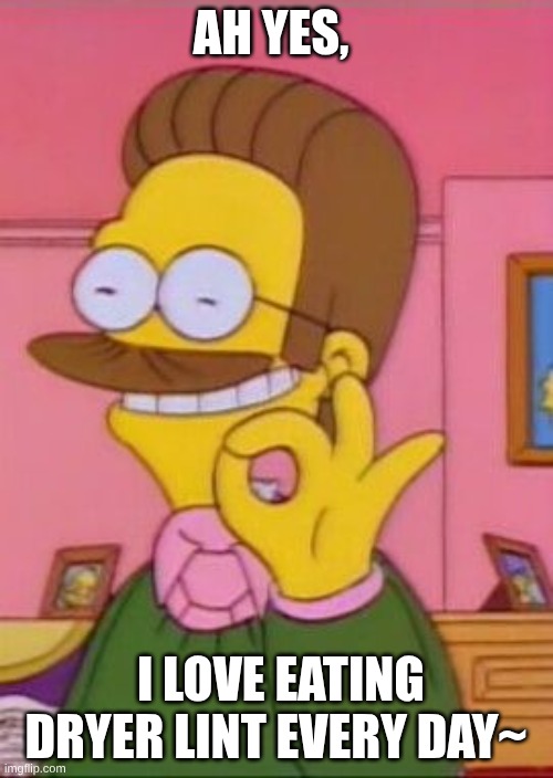 Ned flanders | AH YES, I LOVE EATING DRYER LINT EVERY DAY~ | image tagged in ned flanders | made w/ Imgflip meme maker