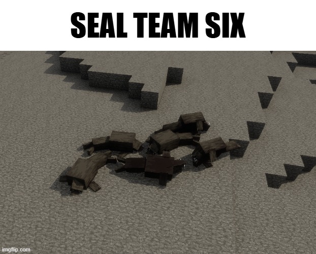 SEAL TEAM SIX | image tagged in minecraft | made w/ Imgflip meme maker