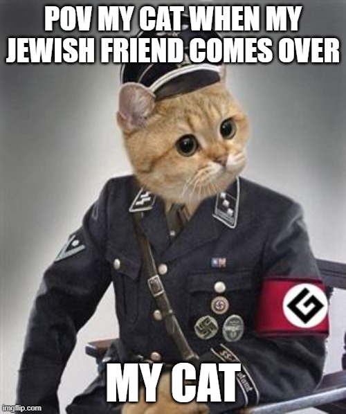 Grammar Nazi Cat | POV MY CAT WHEN MY JEWISH FRIEND COMES OVER; MY CAT | image tagged in grammar nazi cat | made w/ Imgflip meme maker