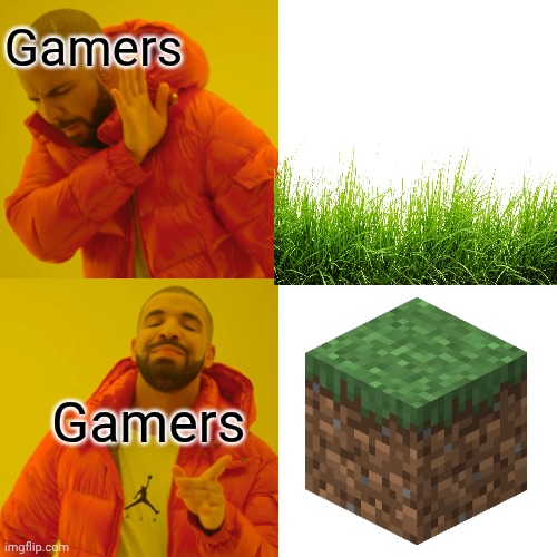 Now THAT is grass | Gamers; Gamers | image tagged in memes,drake hotline bling | made w/ Imgflip meme maker