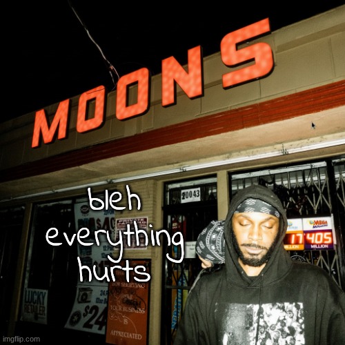 moons offline temp | bleh everything hurts | image tagged in moons offline temp | made w/ Imgflip meme maker