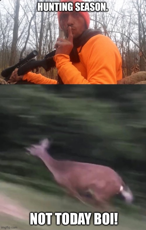 Doe Go! | HUNTING SEASON. NOT TODAY BOI! | image tagged in hunter,running doe | made w/ Imgflip meme maker