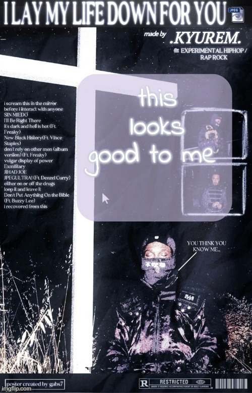 thank u seasalt | this looks good to me | image tagged in kyurem jpegmafia temp | made w/ Imgflip meme maker