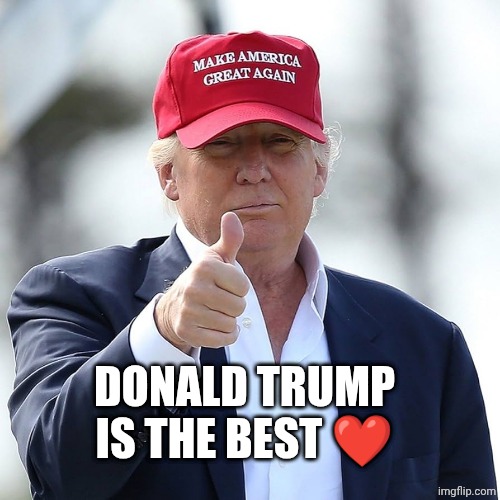 ❤️ | DONALD TRUMP IS THE BEST ❤️ | image tagged in donald trump maga hat | made w/ Imgflip meme maker