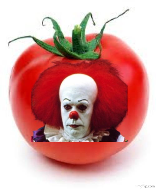 Tomatowise | image tagged in tomato | made w/ Imgflip meme maker