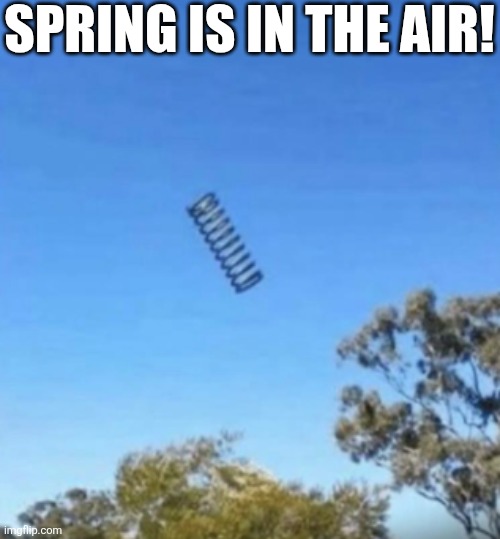 Spring Is In The Air! | SPRING IS IN THE AIR! | image tagged in chrisjoines1 | made w/ Imgflip meme maker