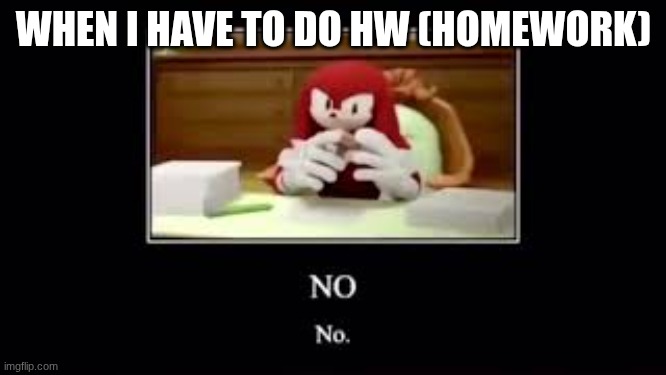 Knuckles saying NO | WHEN I HAVE TO DO HW (HOMEWORK) | image tagged in knuckles saying no | made w/ Imgflip meme maker