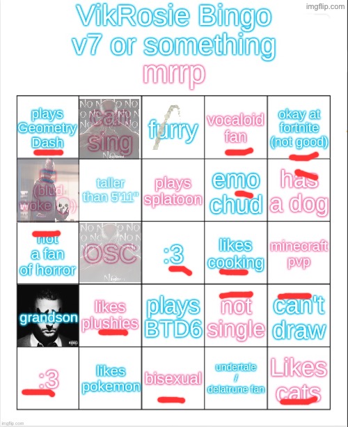 VikRosie Bingo NEW!!!!!!!!!!!!!!!!!! | image tagged in vikrosie bingo new | made w/ Imgflip meme maker