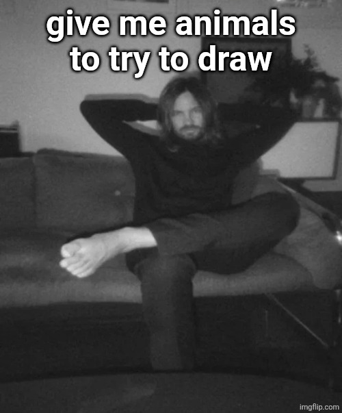 Kevin Parker sitting | give me animals to try to draw | image tagged in kevin parker sitting | made w/ Imgflip meme maker