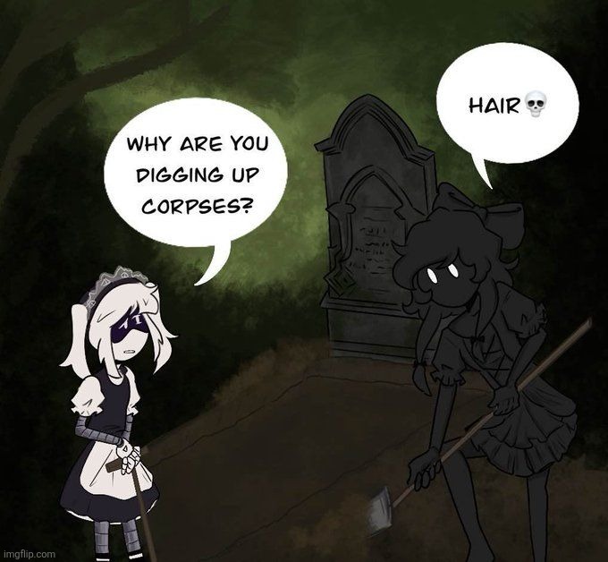 This is canon btw she grave robbed to get hair for her bots | made w/ Imgflip meme maker