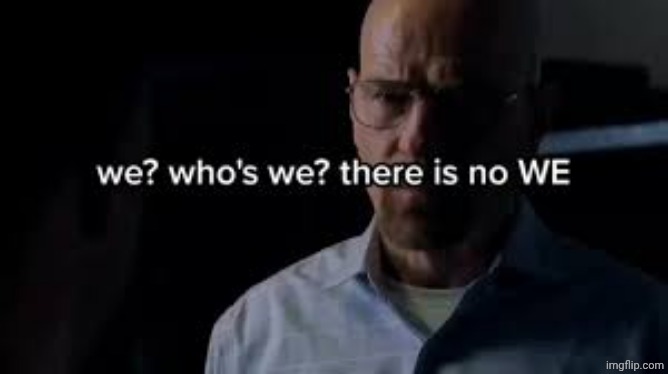 we? who's we? there is no WE. | image tagged in we who's we there is no we | made w/ Imgflip meme maker