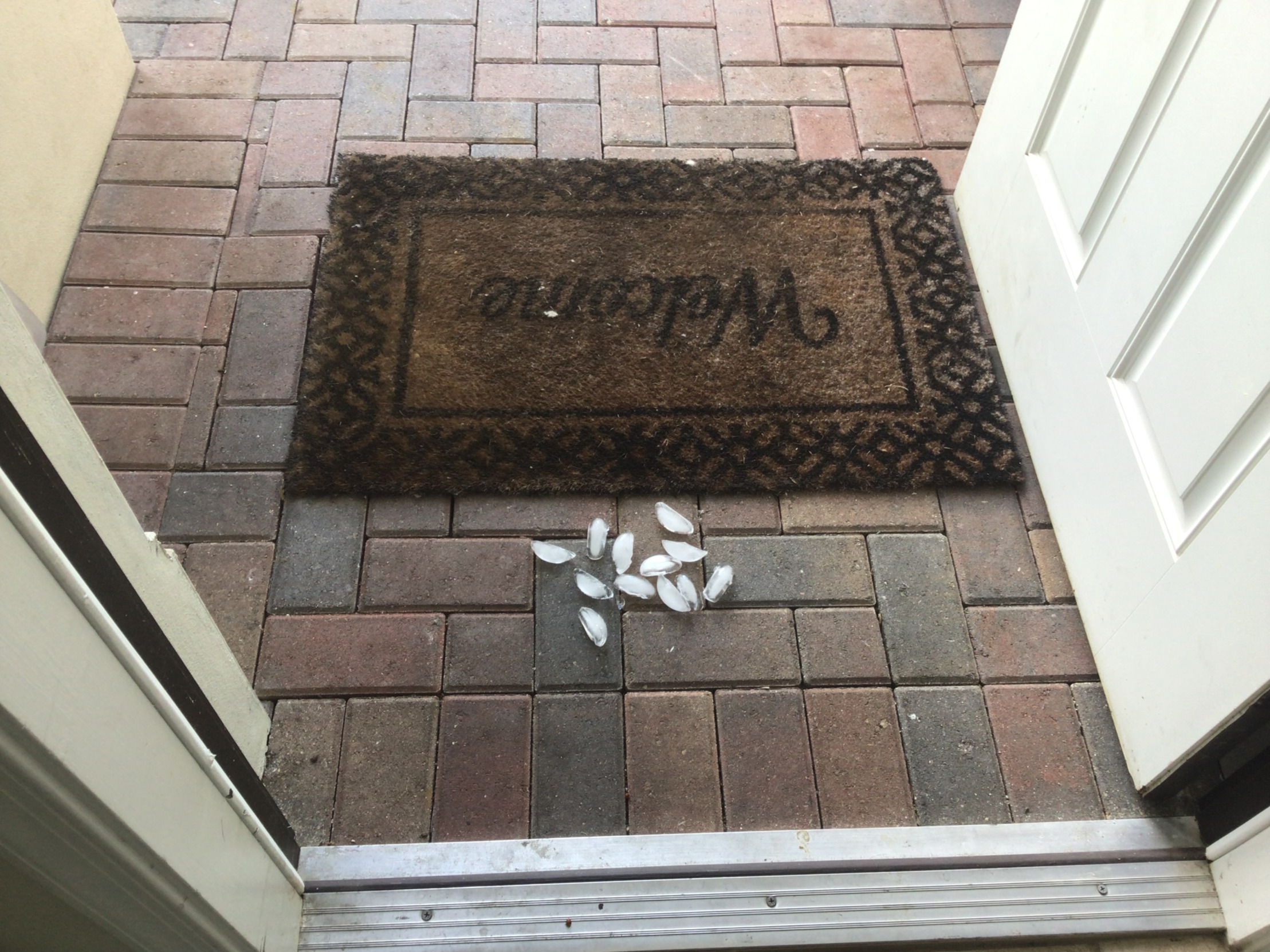 Ice Baby! Blank Meme Template