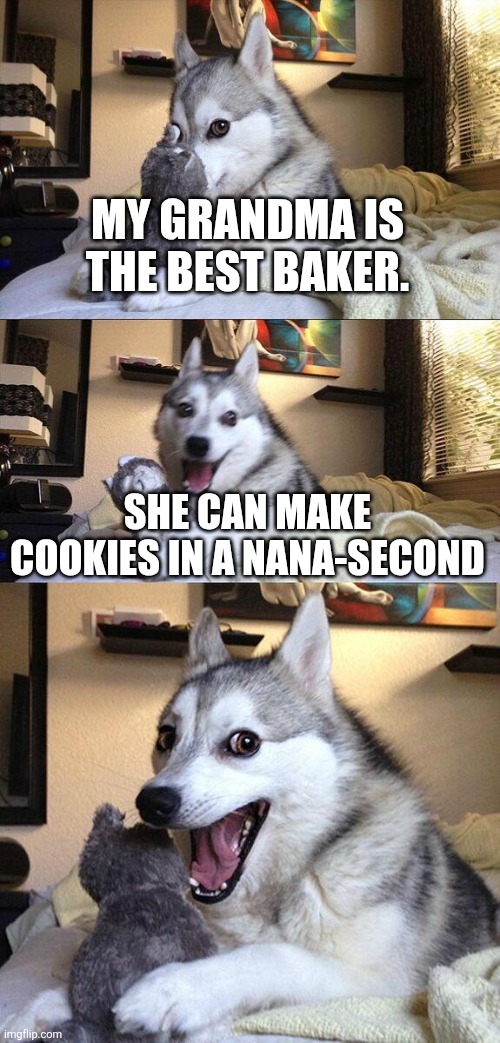 Damm tasty too | MY GRANDMA IS THE BEST BAKER. SHE CAN MAKE COOKIES IN A NANA-SECOND | image tagged in memes,bad pun dog | made w/ Imgflip meme maker