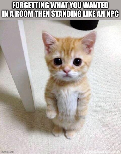 Wait… what did I want to post? | FORGETTING WHAT YOU WANTED IN A ROOM THEN STANDING LIKE AN NPC | image tagged in memes,cute cat | made w/ Imgflip meme maker