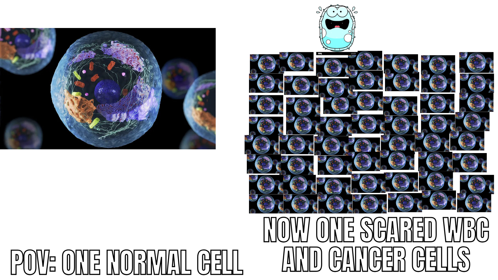 What the Cancer Blank Meme Template