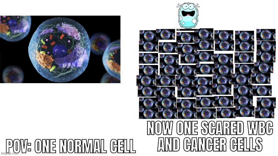 for ms ferguson | image tagged in what the cancer | made w/ Imgflip meme maker