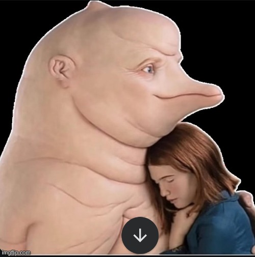 I regret being the mod of this stream [but I will allow it bc ye] | image tagged in human dolphin | made w/ Imgflip meme maker