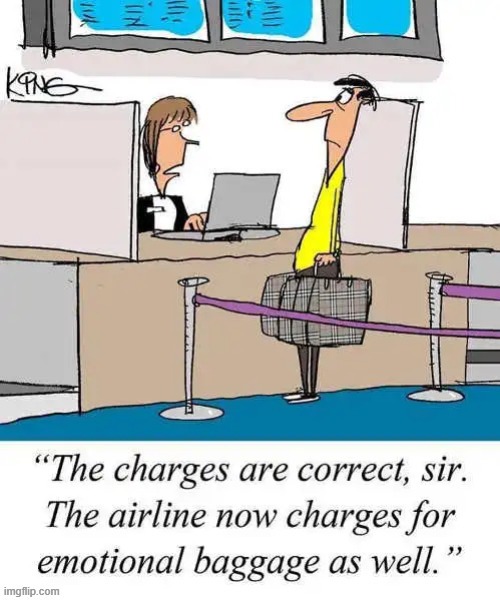 It Finally Happened... | image tagged in vince vance,airlines,emotional,baggage,charges,comics | made w/ Imgflip meme maker