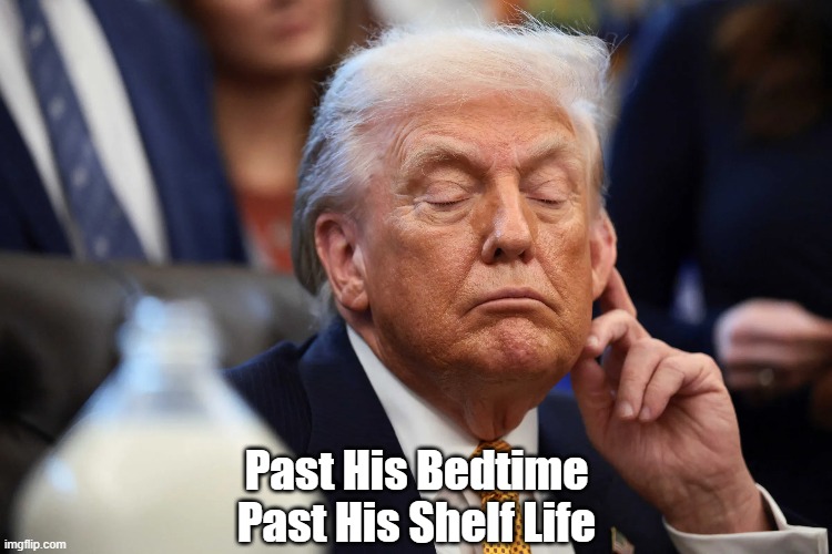 Past His Bedtime. Past His Shelf Life | Past His Bedtime
Past His Shelf Life | image tagged in trump,dimwit,addlepate,narcoleptic,asleep at the wheel | made w/ Imgflip meme maker