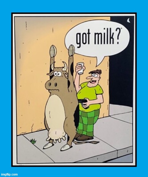 Stealing Milk from a Cow | image tagged in vince vance,got milk,cows,bandit,hold up,cartoons | made w/ Imgflip meme maker