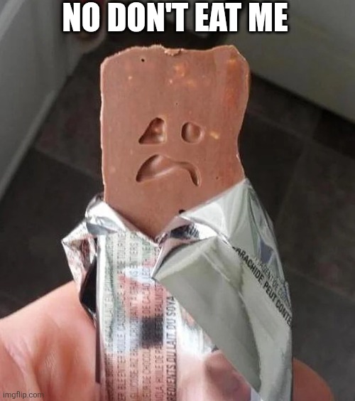 No Don't Eat Me | NO DON'T EAT ME | image tagged in chrisjoines1 | made w/ Imgflip meme maker