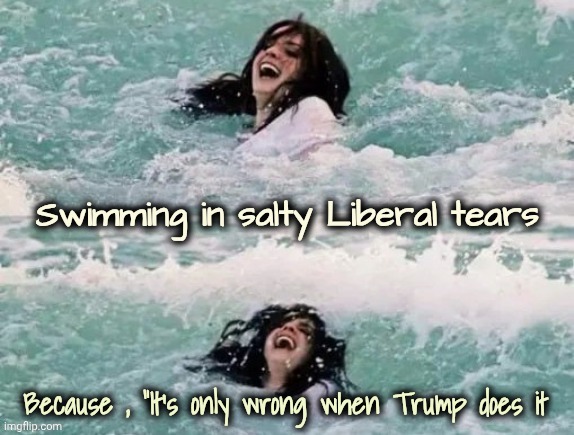 MAGA is fun | Because , "It's only wrong when Trump does it | image tagged in maga is fun | made w/ Imgflip meme maker