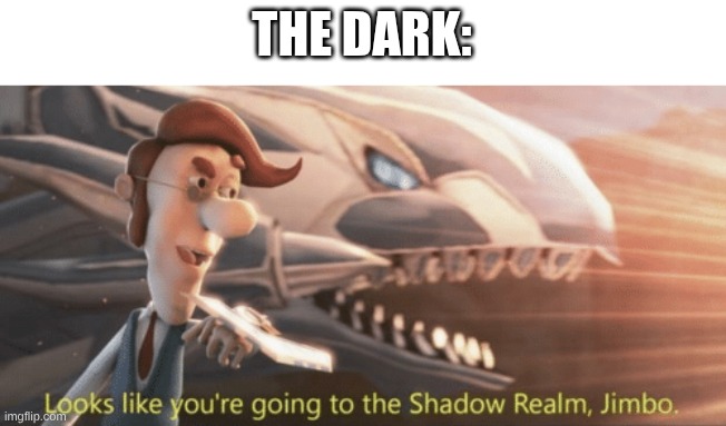 Looks like you’re going to the shadow realm jimbo | THE DARK: | image tagged in looks like you re going to the shadow realm jimbo | made w/ Imgflip meme maker