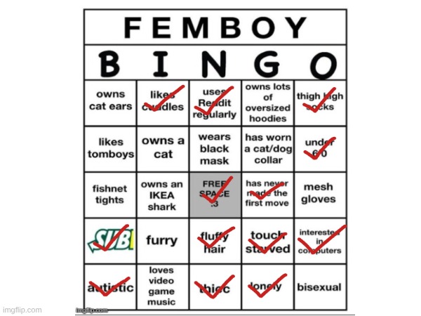 here's mine since like 2 other people did it | image tagged in femboy | made w/ Imgflip meme maker