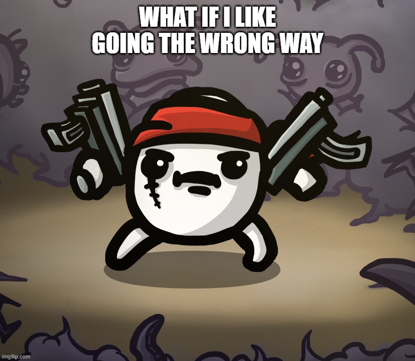 WHAT IF I LIKE GOING THE WRONG WAY | made w/ Imgflip meme maker