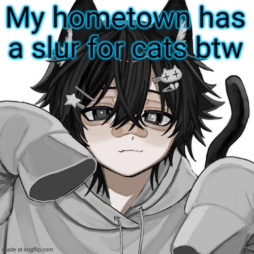 tfym I ain't masculine? | My hometown has a slur for cats btw | image tagged in tfym i ain't masculine | made w/ Imgflip meme maker