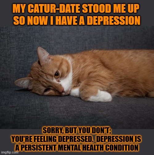 This #lolcat wonders how many hoo-mens suffer from depression | MY CATUR-DATE STOOD ME UP 
SO NOW I HAVE A DEPRESSION; SORRY, BUT YOU DON'T;
YOU'RE FEELING DEPRESSED.  DEPRESSION IS 
A PERSISTENT MENTAL HEALTH CONDITION | image tagged in depression,depressed cat,lolcat,mental health | made w/ Imgflip meme maker