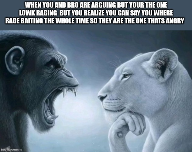 monkey rage at lion | WHEN YOU AND BRO ARE ARGUING BUT YOUR THE ONE LOWK RAGING  BUT YOU REALIZE YOU CAN SAY YOU WHERE RAGE BAITING THE WHOLE TIME SO THEY ARE THE ONE THATS ANGRY | image tagged in monkey rage at lion | made w/ Imgflip meme maker