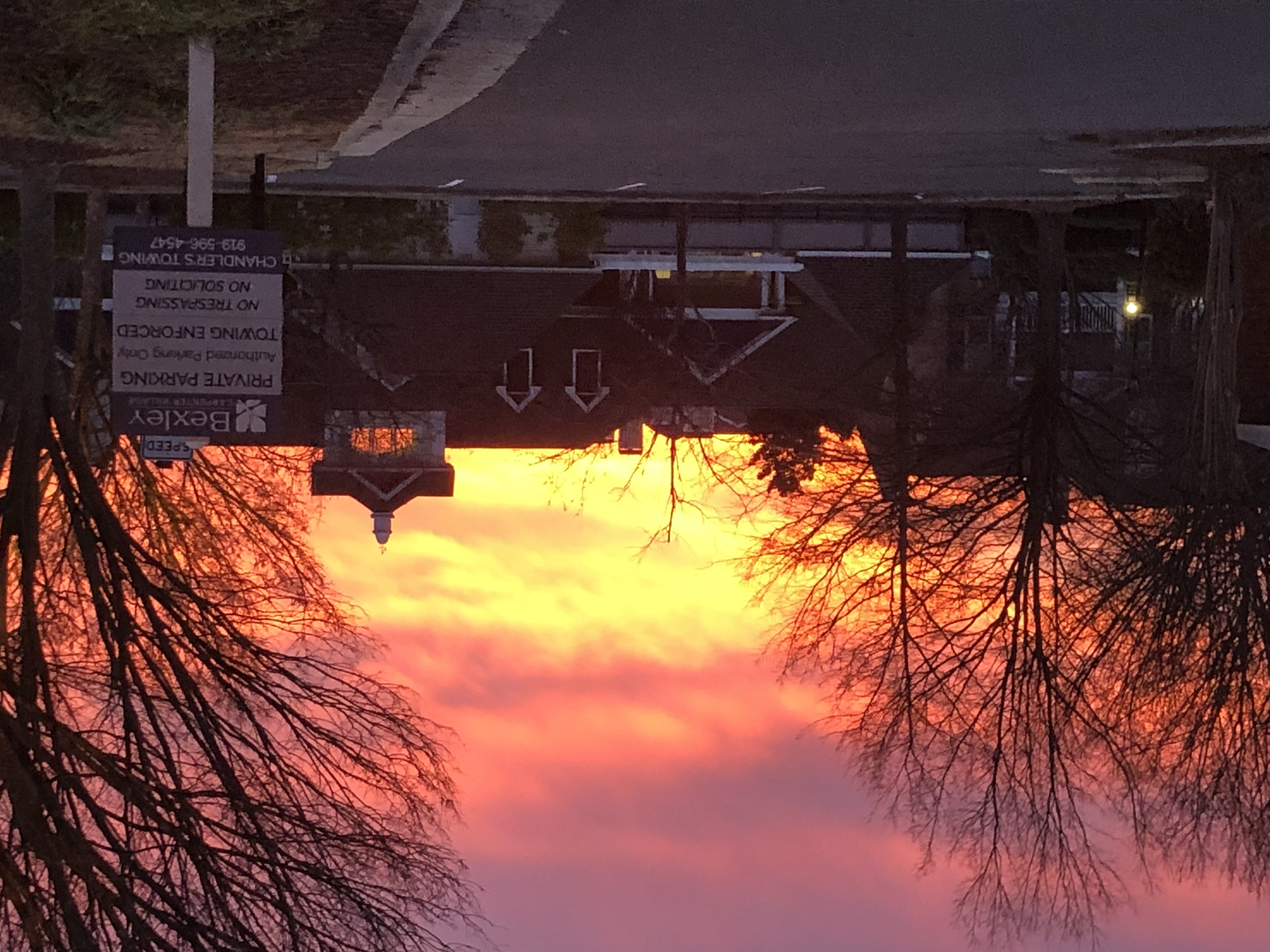 Radiance is here! Blank Meme Template